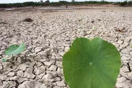 Cambio climático afecta a gran parte de la población de Camboya