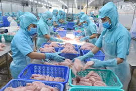 Crecen exportaciones de productos acuáticos vietnamitas a la UE