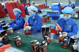 EVFTA ayuda a Vietnam a reducir impactos de recesión económica, según periódico singapurense