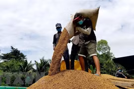 Tailandia se encamina al cumplimiento de alta meta de exportación de arroz en 2021
