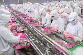 Crecen exportaciones de productos acuáticos vietnamitas entre enero y mayo