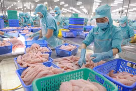 Exportaciones de productos acuáticos de Vietnam superarán los ocho mil millones de dólares en 2021