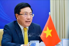 Vietnam trabajará con otros países de ASEAN para repeler la pandemia