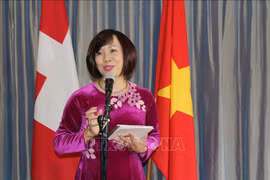 Presentan en Suiza potencialidades de mercado vietnamita