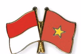 Vietnam e Indonesia estudian ampliar la cooperación en medicina militar