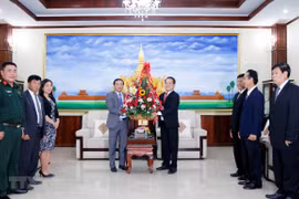 Vietnam felicita al Partido Popular Revolucionario de Laos por el 66 aniversario de su fundación