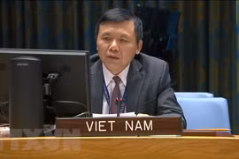 Vietnam llama a fortalecer la reconciliación nacional en Malí