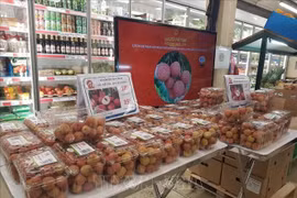 Discutirán estrategias para la agricultura digital de Vietnam en contexto del COVID-19