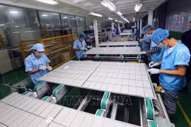 Vietnam promueve estrategia nacional para el crecimiento verde en la etapa 2021-2030