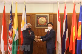 Comité de la ASEAN en Pretoria aprecia aportes de Vietnam al bloque