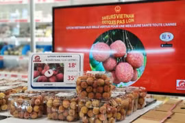 Empresarios vietnamitas en el exterior por incrementar aportes a promoción de marca nacional