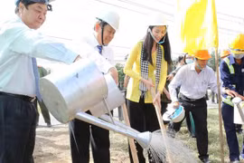 Plantará provincia vietnamita de Ben Tre 10 millones de árboles