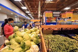 Lanzan foro para conectar la producción y el consumo agrícolas en Vietnam