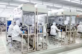 Crecen 32,4 por ciento las inversiones vietnamitas en el extranjero