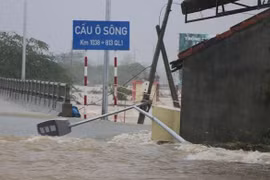 Inundaciones provocan cuantiosas pérdidas en el centro de Vietnam