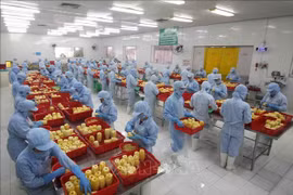 RCEP y oportunidades para la integración de productos agrícolas de Vietnam a la cadena de valor mundial