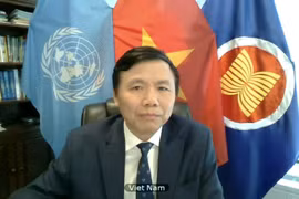 Vietnam aboga por solución integral para situación en Kosovo