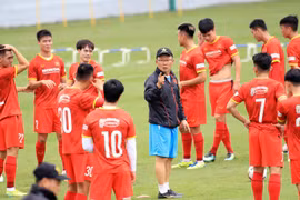 Selección vietnamita de fútbol partirá mañana hacia Emiratos Árabes Unidos