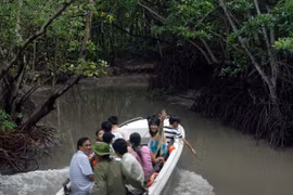 Ciudad Ho Chi Minh y provincia sureña promueven turismo local