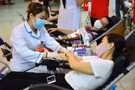 Provincia vietnamita promueve participación en donación de sangre
