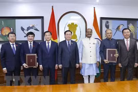 Resaltan agenda ambiciosa del presidente del Parlamento vietnamita en su visita a India