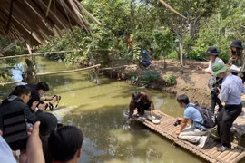 Zona sureste de Vietnam se convertirá en destino ecológico después del COVID-19 
