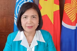 Vietnam apoya esfuerzos de UNCTAD de asistir a países en recuperación sostenible