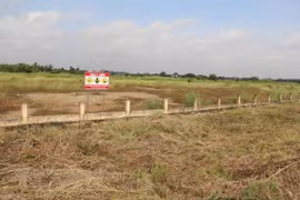 EE.UU. anuncia contratista principal para proyecto de tratamiento de dioxinas en aeropuerto de Bien Hoa