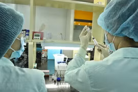 Vietnam solicita apoyo al BM para producción de vacunas contra COVID-19