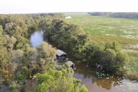 Provincia de Dong Thap siembra árboles por un Vietnam verde