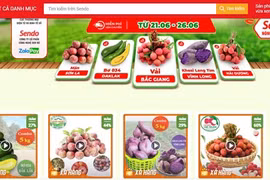 Venden productos agrícolas vietnamitas en plataforma de e-comercio Sendo