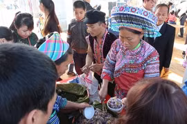 Presentarán actividades de minorías vietnamitas para dar bienvenida al Año Nuevo
