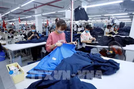 EVFTA, catalizador para desarrollo de empresas vietnamitas