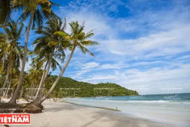 Aceleran vacunación en ciudad vietnamita de Phu Quoc para reabrir turismo