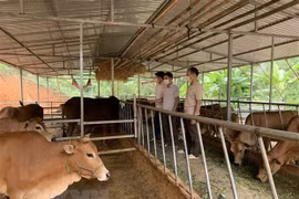 Vietnam por reducir la pobreza multidimensional de manera sostenible