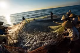 Vietnam y Camboya promueven cooperación en agricultura, silvicultura y pesca