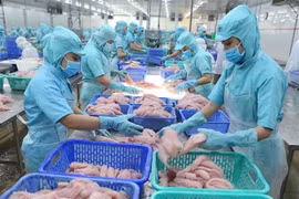 Exportación agrosilvícola y acuícola de Vietnam supera los tres mil millones de dólares en enero