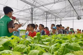 Hanoi se esmera en desarrollar turismo agrícola