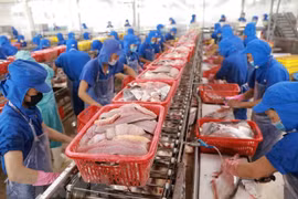 Exportaciones agroforestales y pesqueras de Vietnam aumentan casi 27 por ciento hasta julio