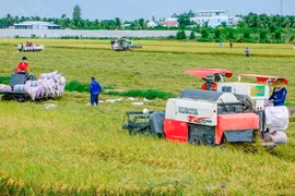Australia respalda agricultura de alta tecnología en Vietnam 