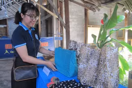 “Residuos cero” podría crear más de 18 mil nuevos empleos para Ciudad Ho Chi Minh