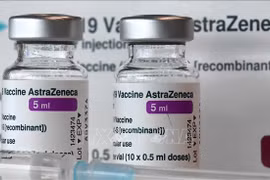 Vietnam recibe más de 500 mil dosis de vacunas AstraZeneca de Polonia