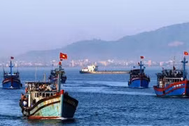 Provincia vietnamita de Ca Mau trabaja por combatir pesca ilegal
