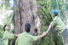 El reino po mu en Tay Giang