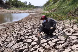 Vietnam busca cooperación internacional en lucha contra el cambio climático