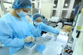 Innovación: nuevo motor de crecimiento para Vietnam