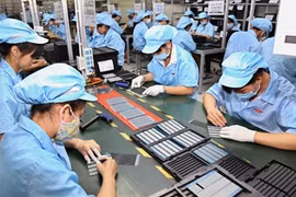 Máxima protección de derechos de trabajadores y empleadores vietnamitas en medio del COVID-19