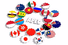 Espera Vietnam consolidación del papel de APEC en conexión económica