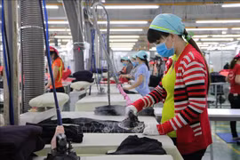 Provincia vietnamita de Dong Nai facilita la entrada de expertos en su territorio para trabajar