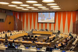 Vietnam concluye Mes de Presidencia del Consejo de Seguridad